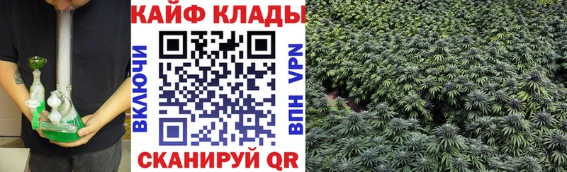 Купить наркоту Болхов COCAIN  ГАШИШ  Псилоцибиновые грибы  Бошки Шишки  Амфетамин 