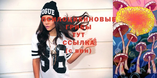тгк Абинск